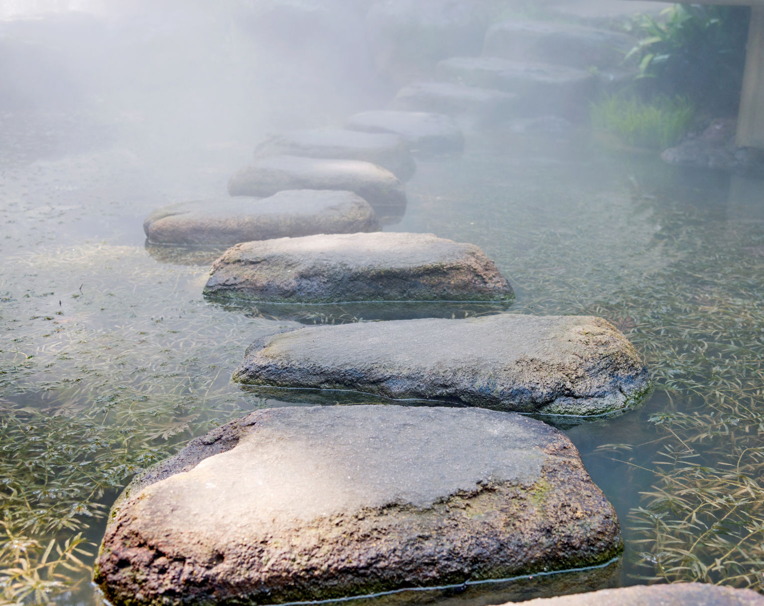 The Art of Becoming Your Best Self